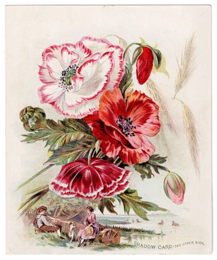Woolson Spice Shadow Card of Mark Twain